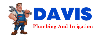 Trusted plumber in DILLON